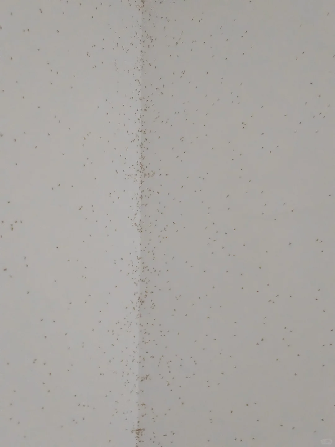 林业人的命也是命