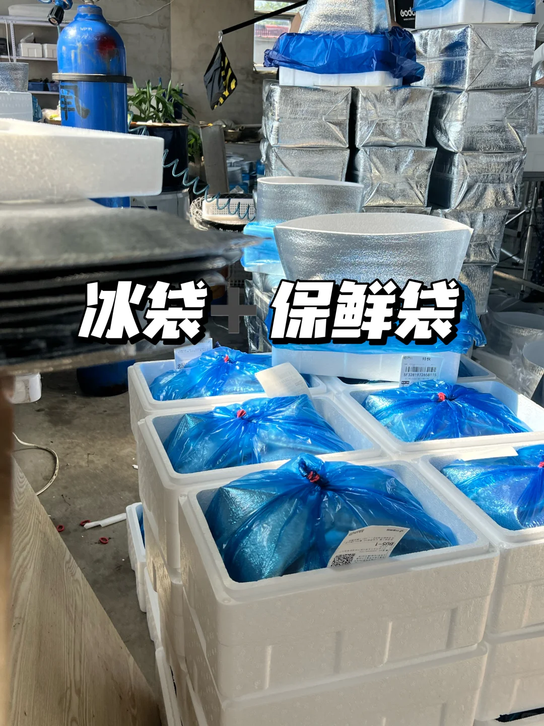 这肥度真实存在！我家蟹让你实现螃蟹自由