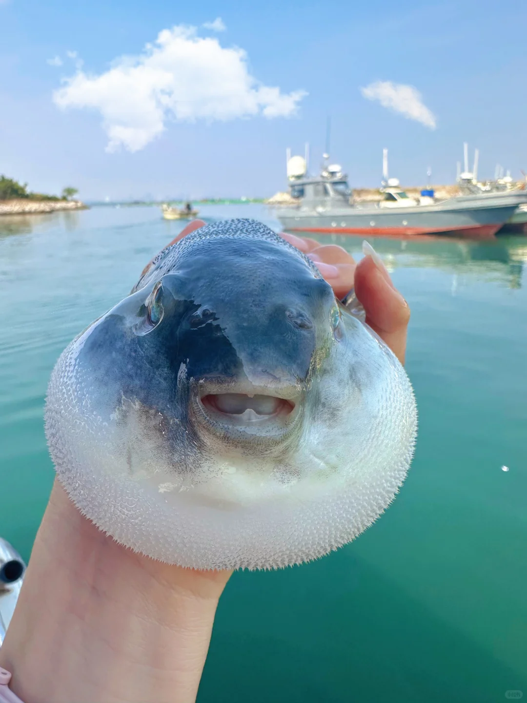 烟台海钓人均198+，能玩3️⃣小时👏👏
