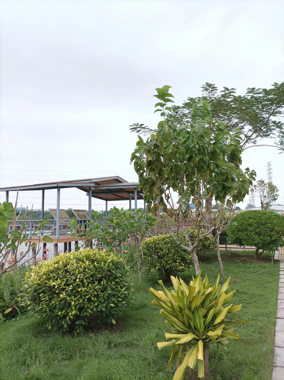 南沙美丽渔场专养蟹中茅台！万亩鱼虾蟹园区