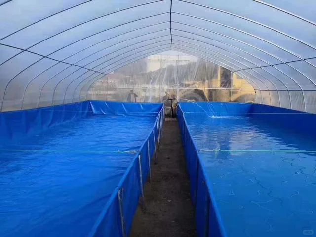 水产养殖的大骗局,千万别再入坑!