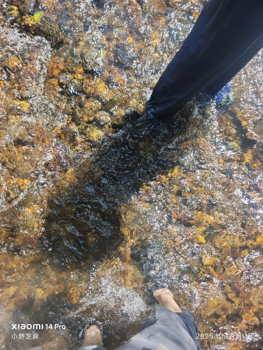 林学的博士是这样出野外的