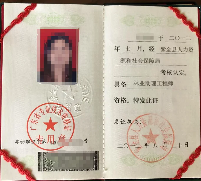 广东林业高级，中级，助理工程师