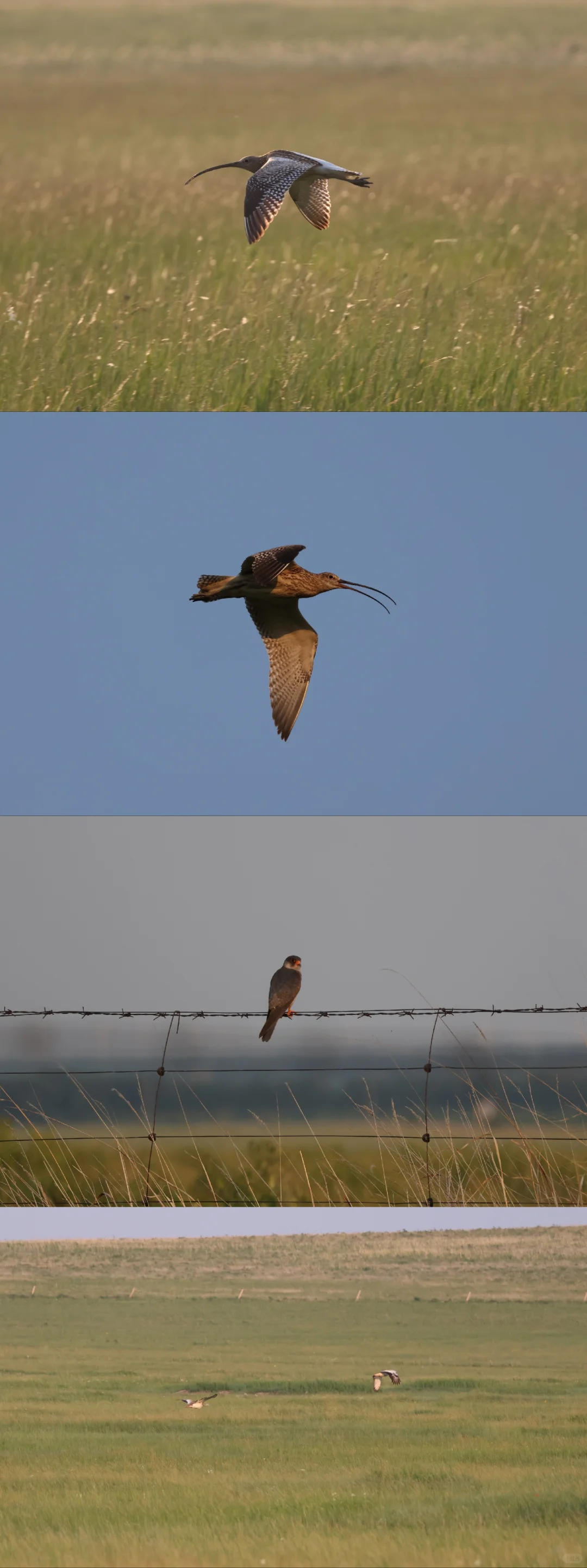 林业人的命也是命