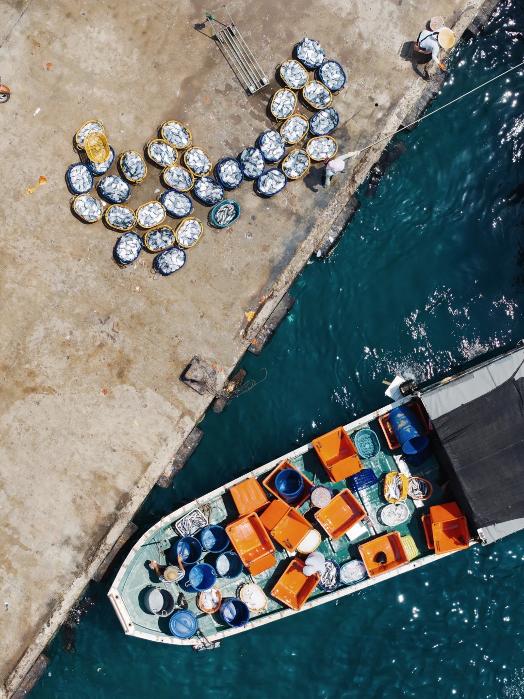 開漁尝鲜｜渔民的秩序美学