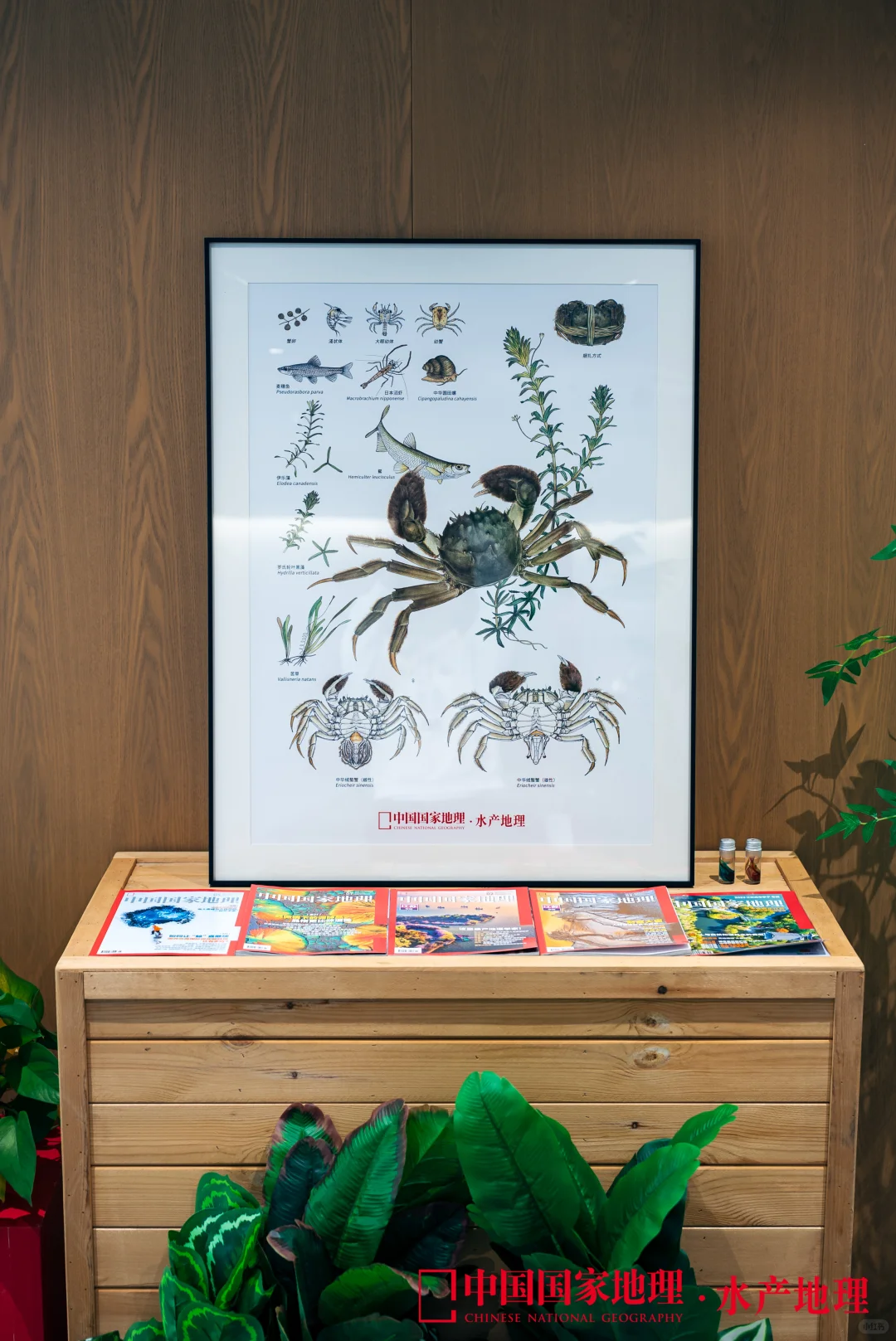 📣 地理➕渔业，群贤毕至共商产业融合新图景