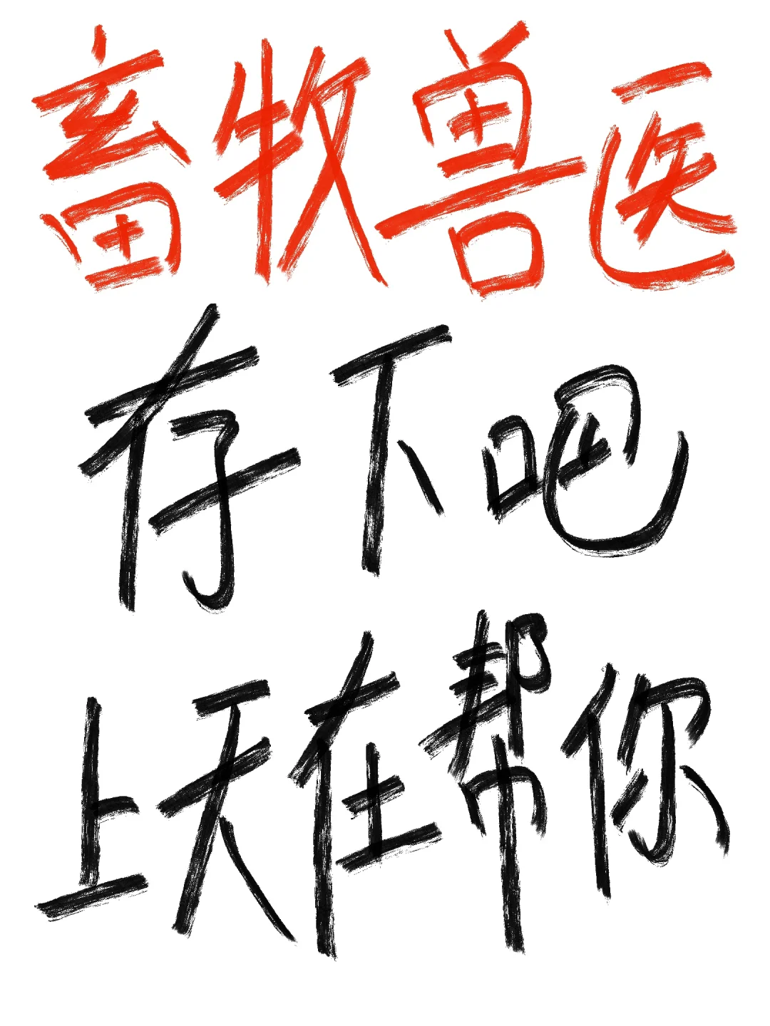 （尖锐爆鸣声）畜牧兽医专业一定要刷到！！