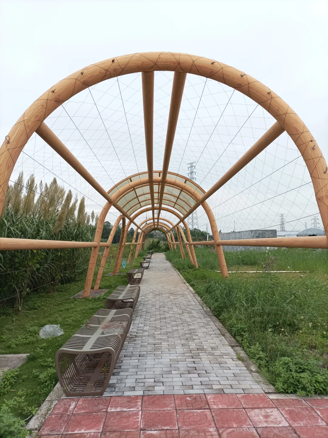 南沙美丽渔场专养蟹中茅台！万亩鱼虾蟹园区