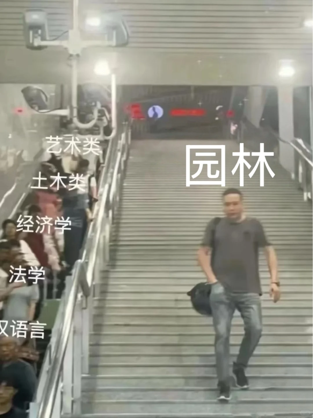 老天奶，园林类考公真的赢麻了！