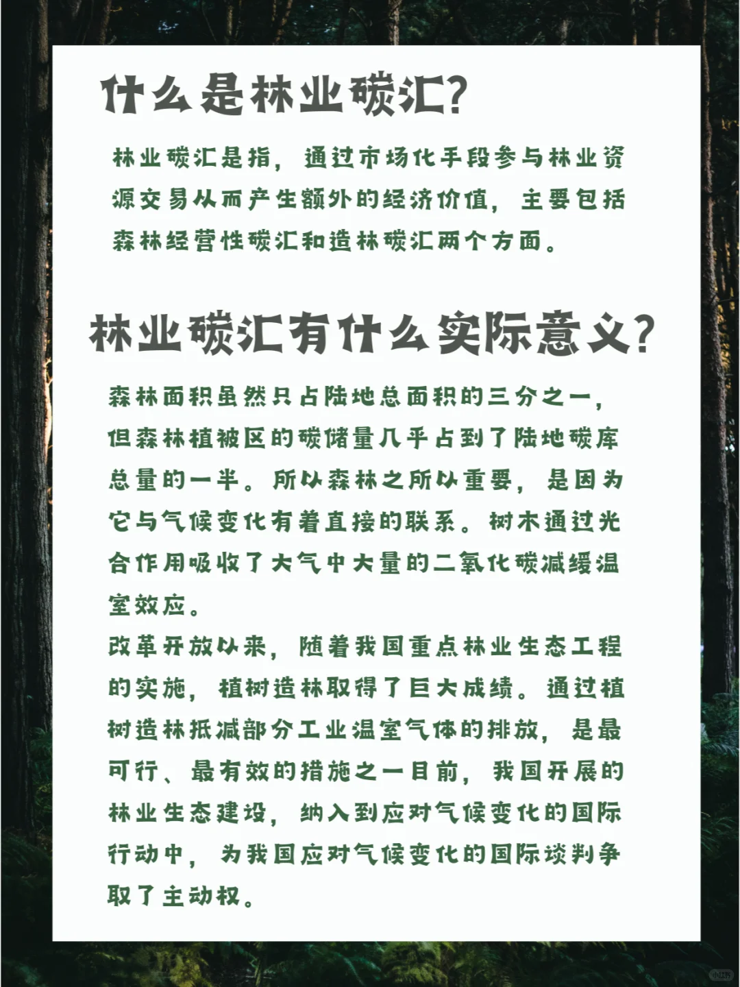 一分钟让你看懂如何开发林业碳汇的条件！