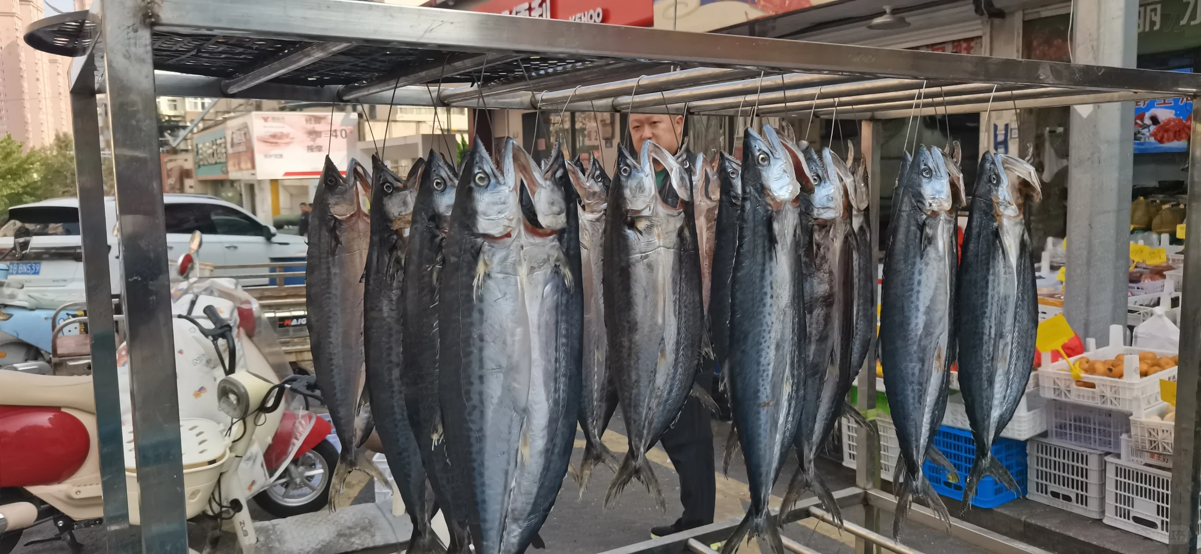 2025年中国国际渔业博览会