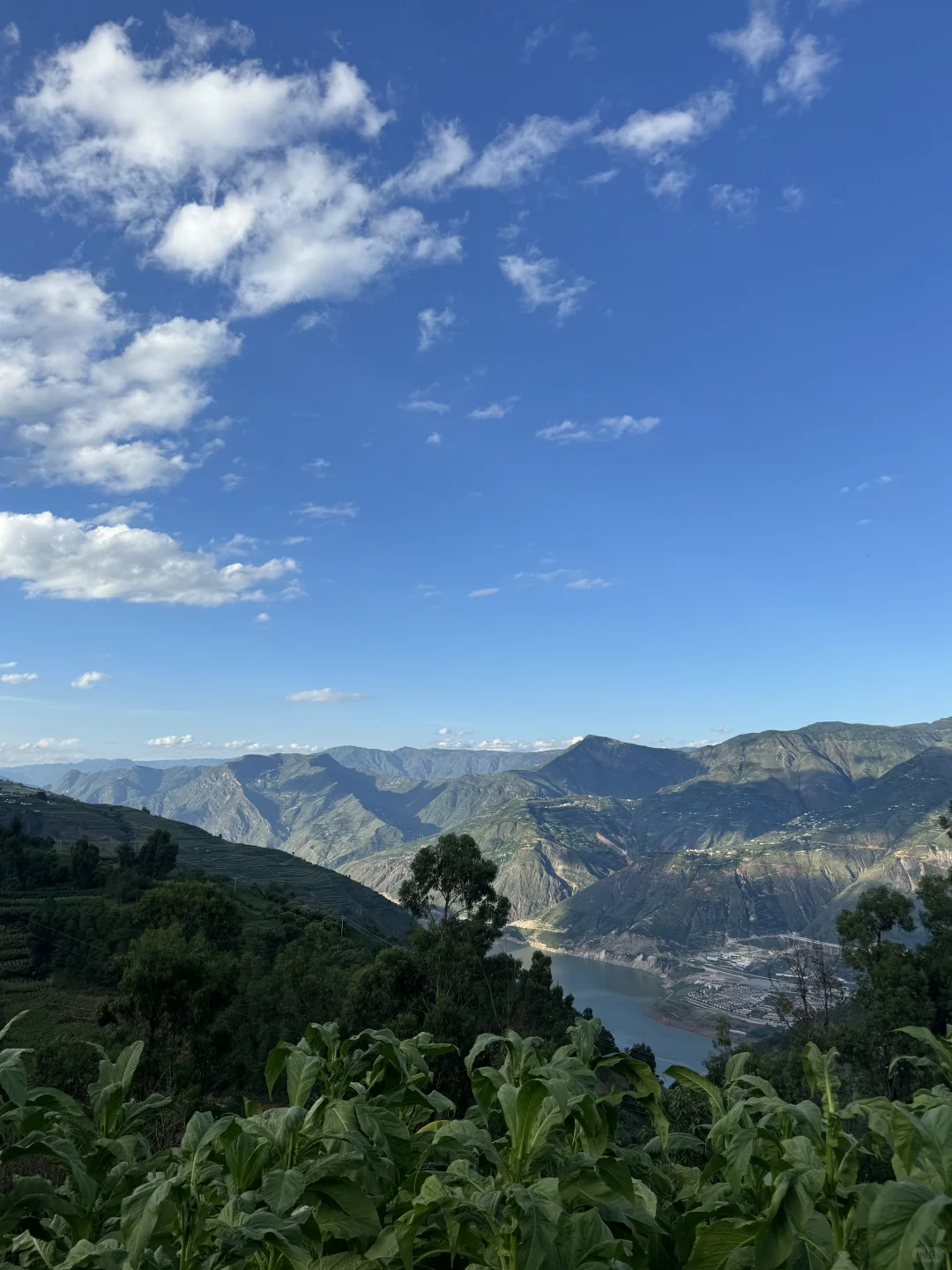 乡镇林业站工作日常｜在现实版的云边镇过秋