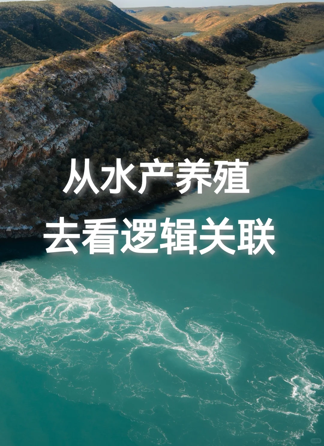 从水产养殖板块去看逻辑关联和事件驱动