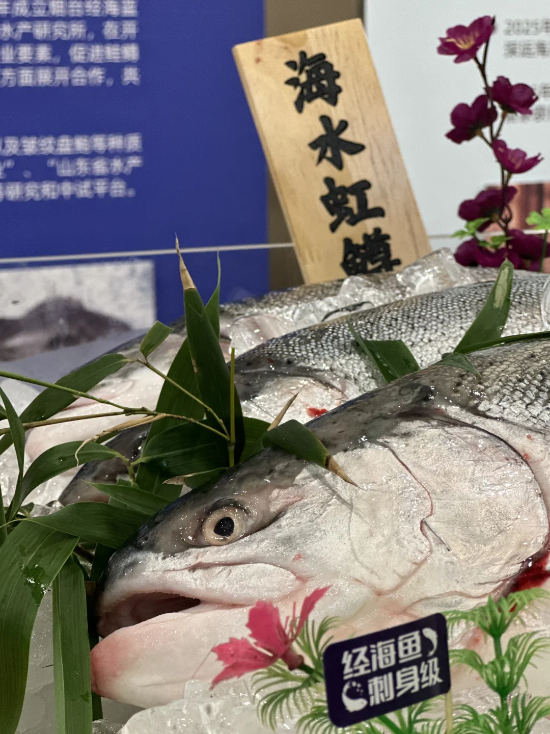 2025深远海养殖高质量发展大会在烟开幕