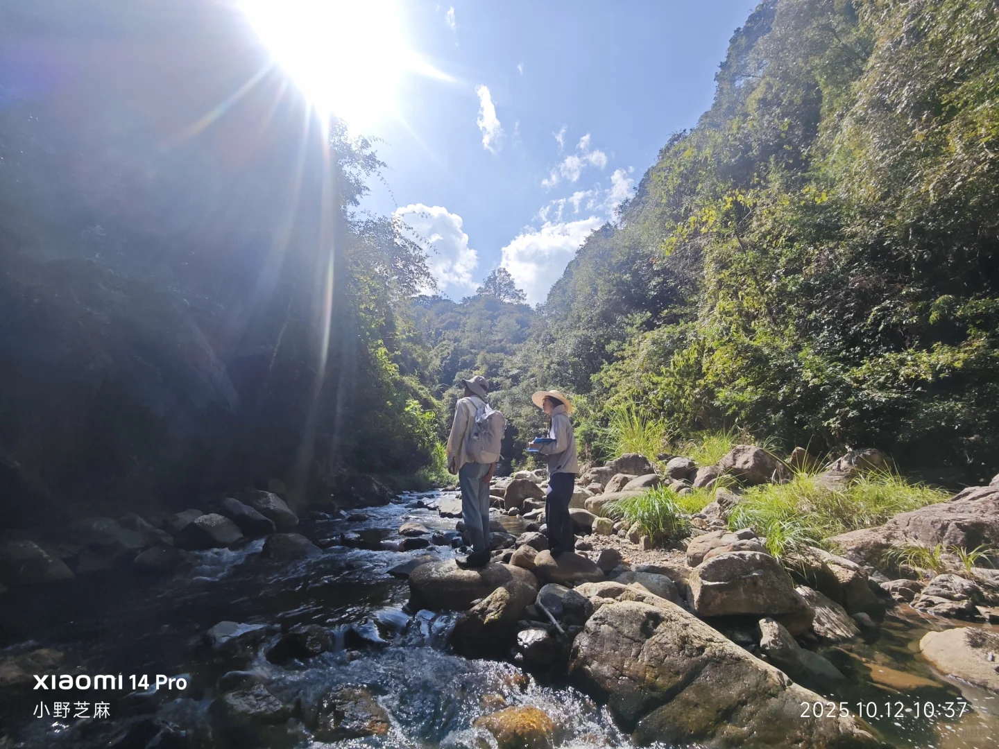 林学的博士是这样出野外的