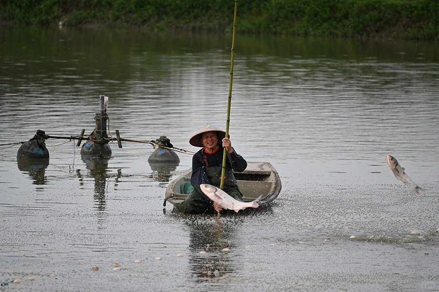 第三日探索：探秘善琏鱼塘 奏响渔牧新章