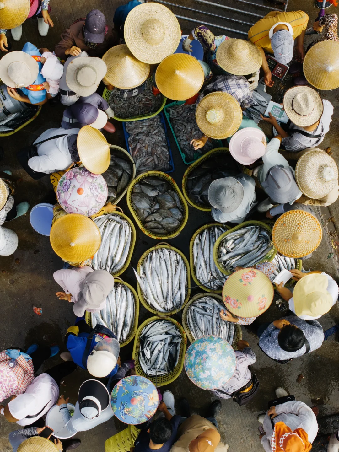 開漁尝鲜｜渔民的秩序美学