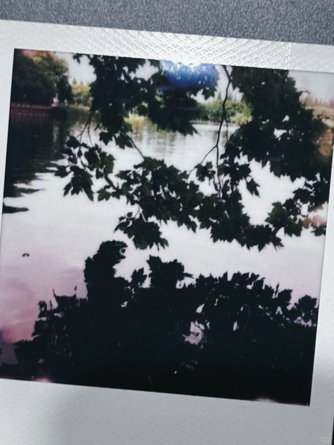 我在林学院失业但快乐的日子。