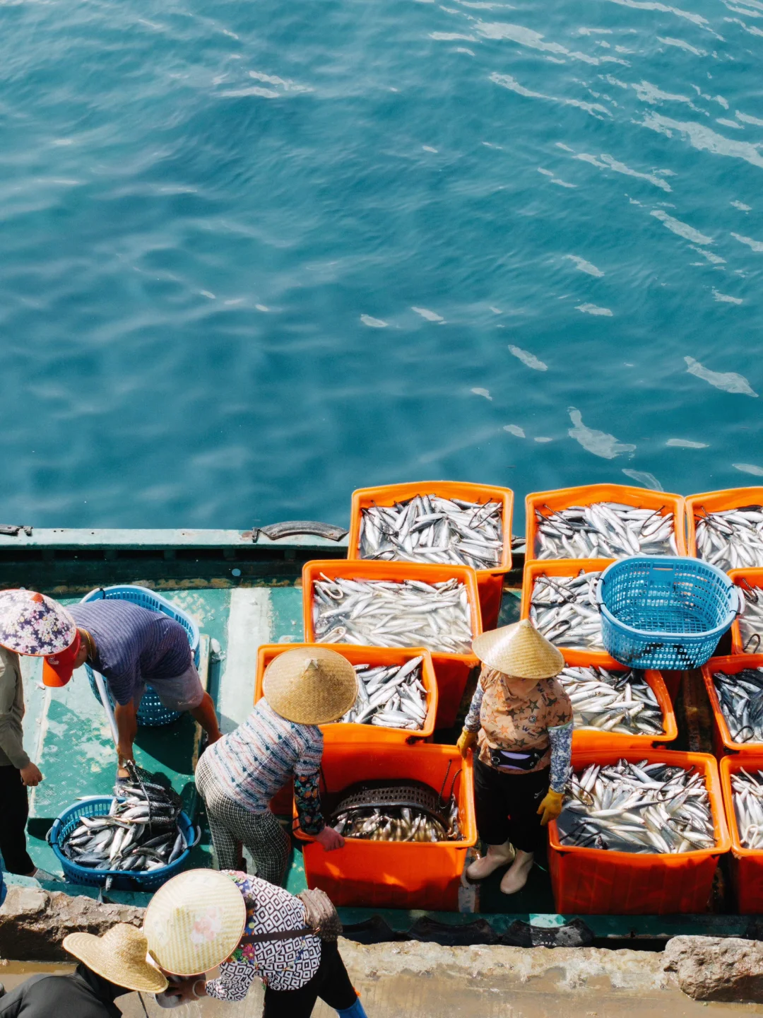 開漁尝鲜｜渔民的秩序美学