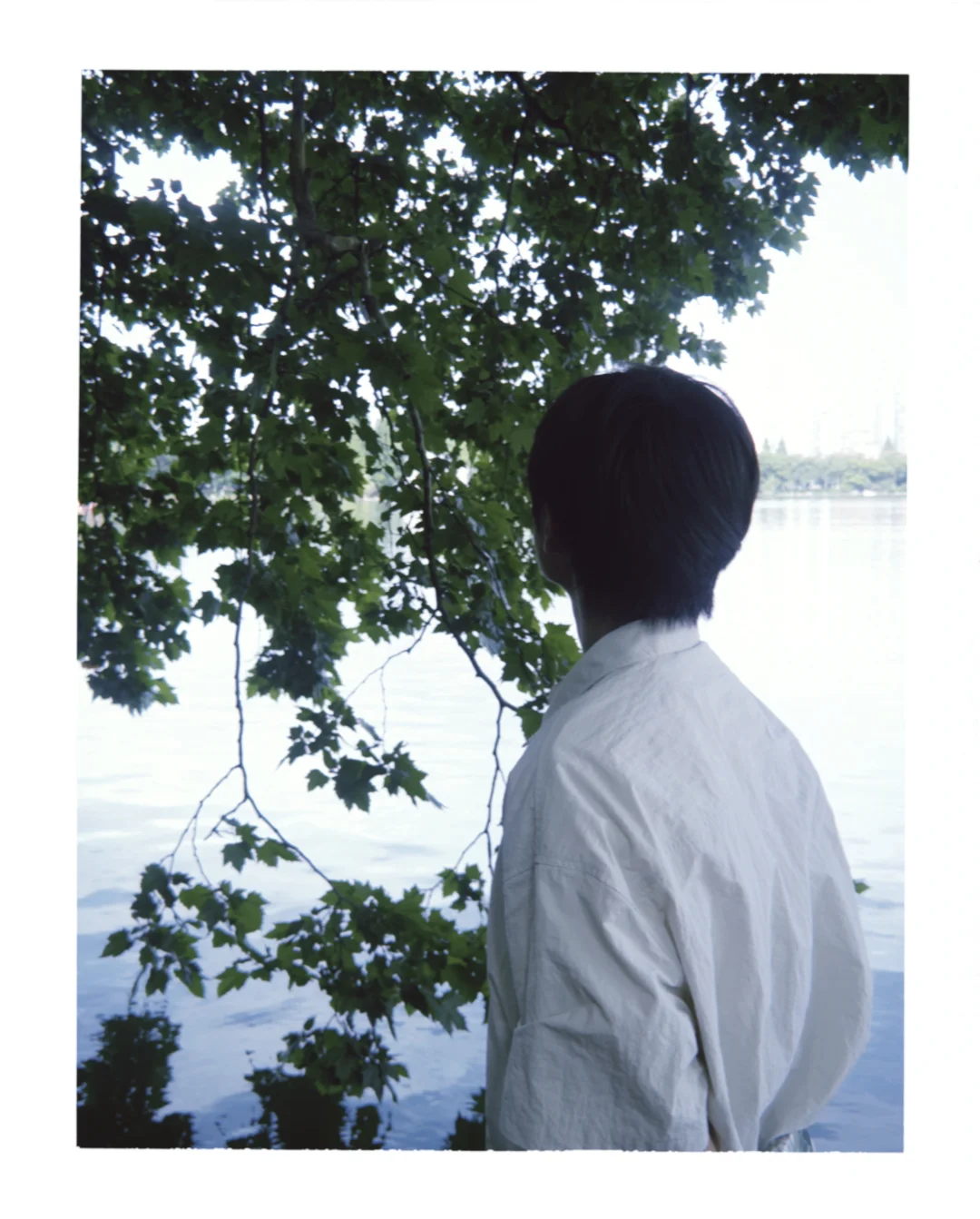 我在林学院失业但快乐的日子。