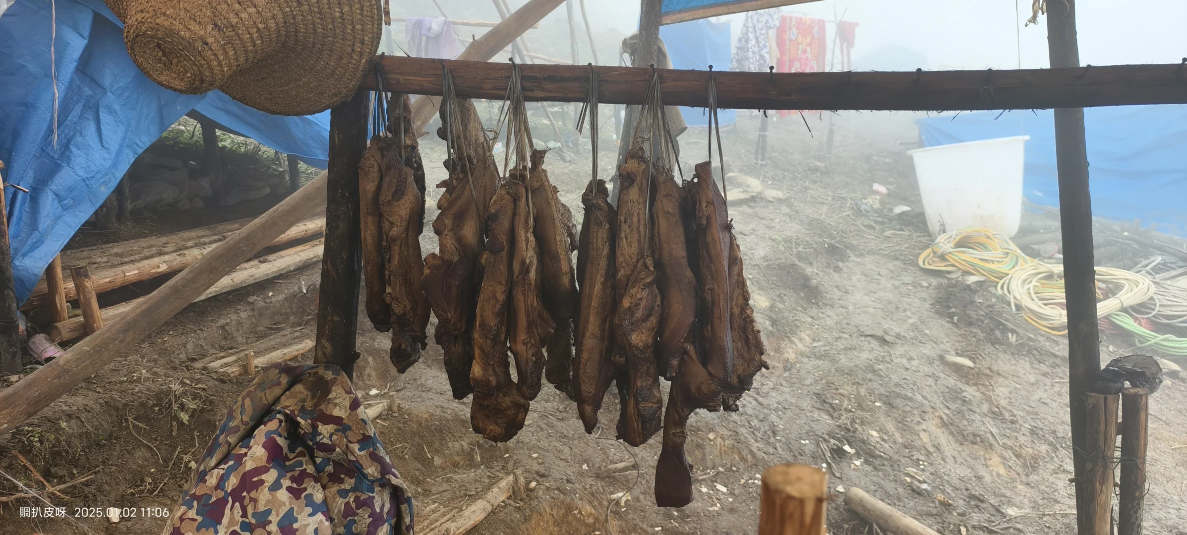 林业基层工作记录1