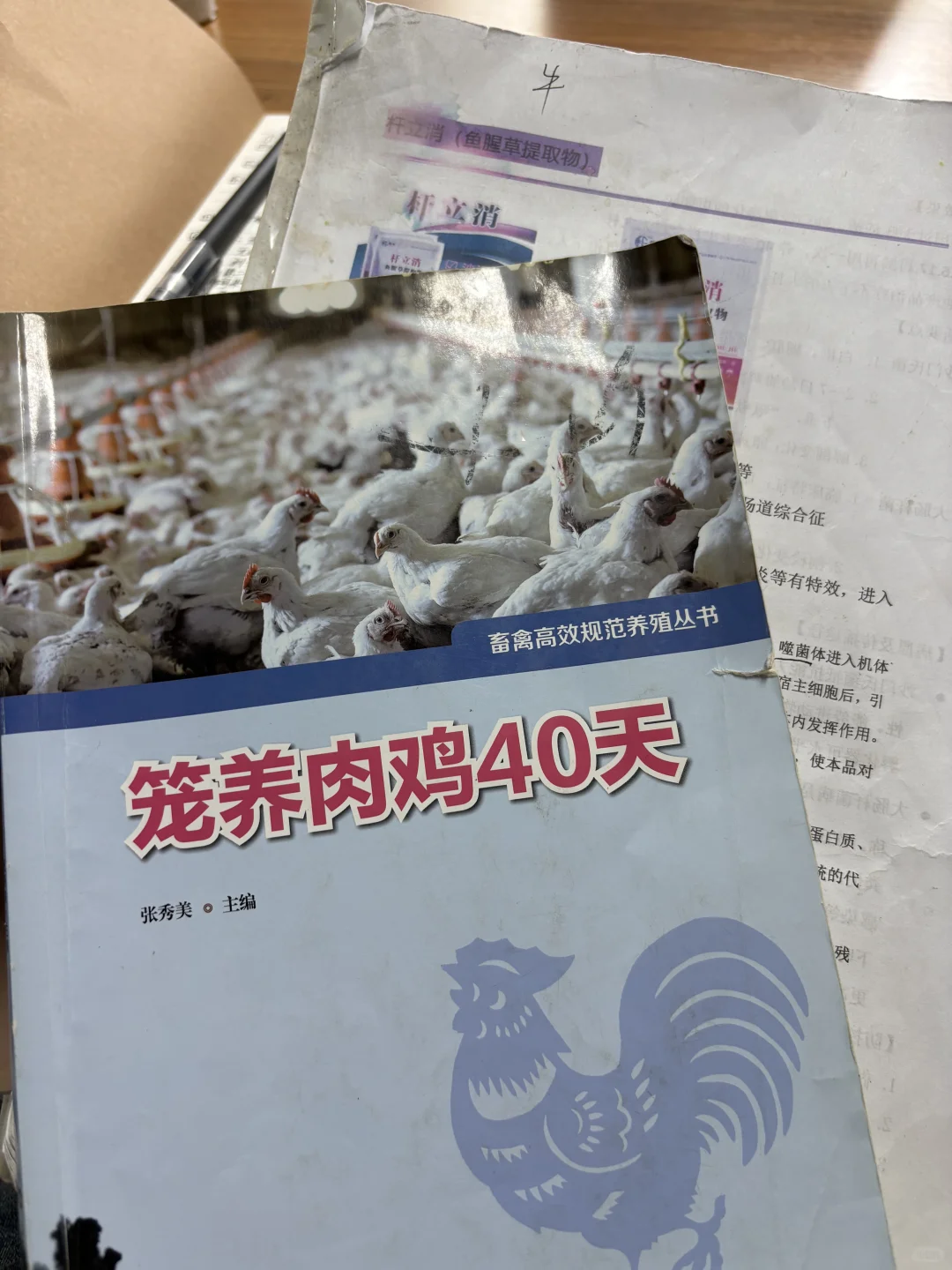 98年女生勇闯畜牧业的一天