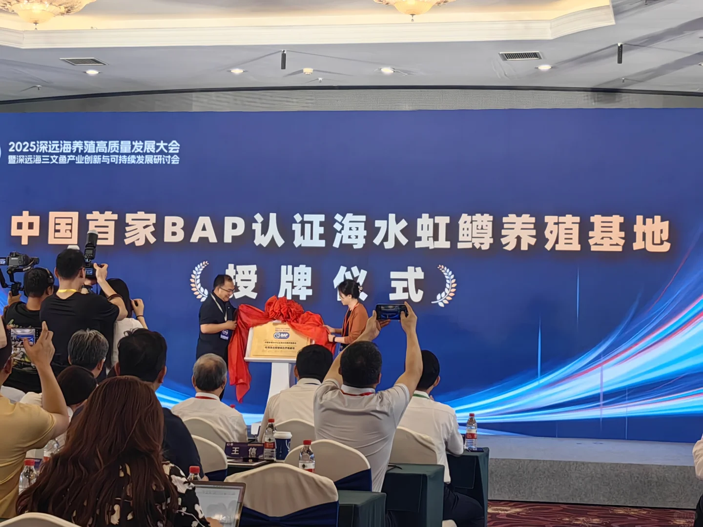 好好学习，认真卖鱼