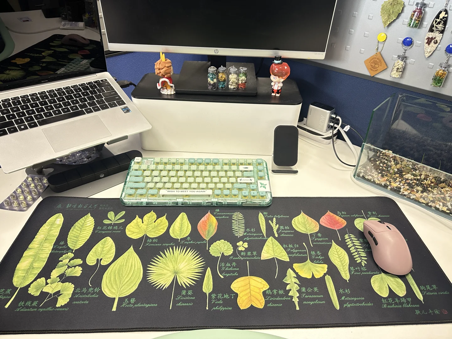 专属北林er的浪漫🍃