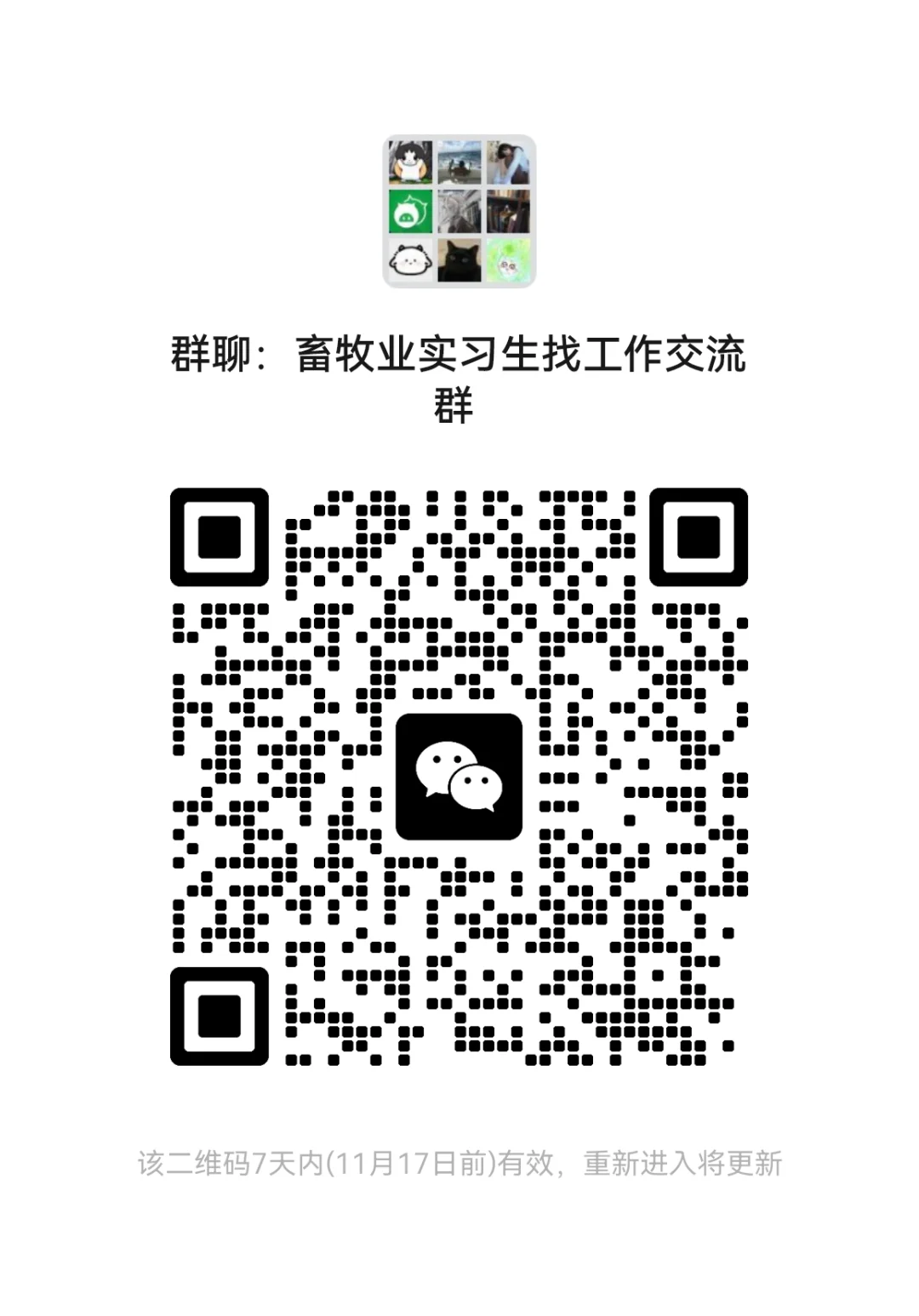 畜牧行业交流群，工作交流