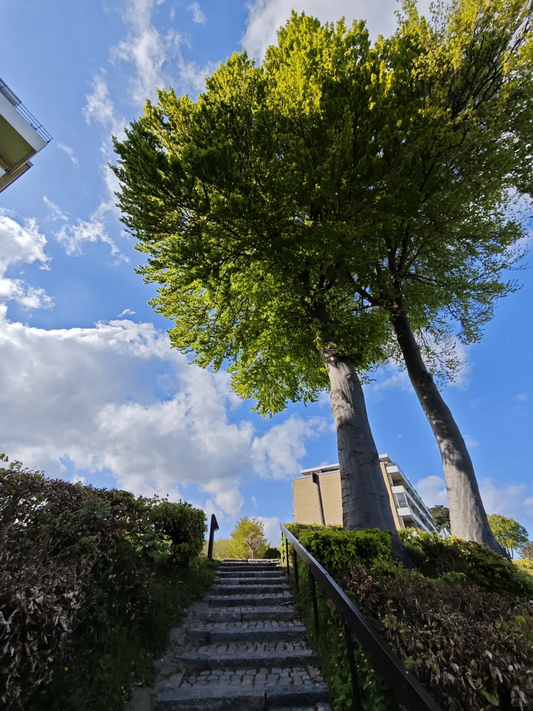 林学人的外业照片🌲