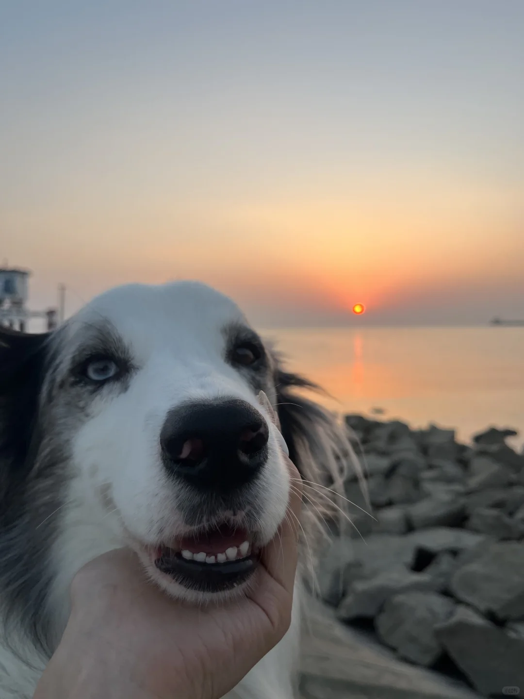 崇明超小众丁坝日落点｜向化镇渔业村