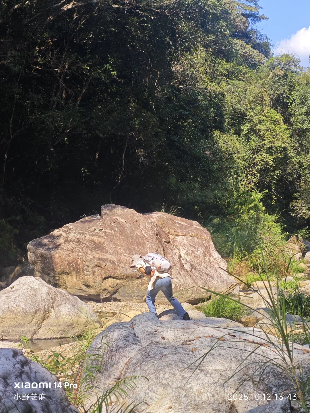 林学的博士是这样出野外的