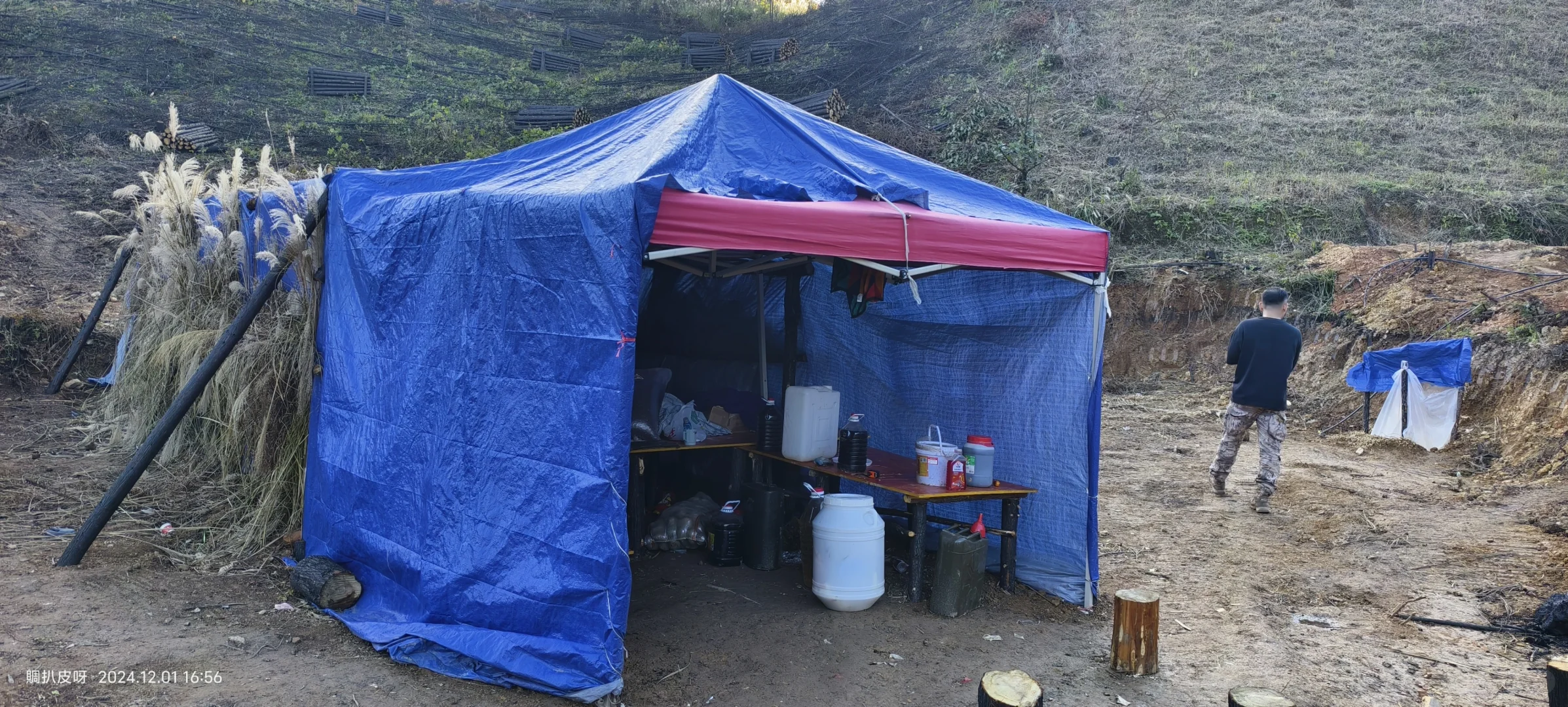 林业基层工作记录1