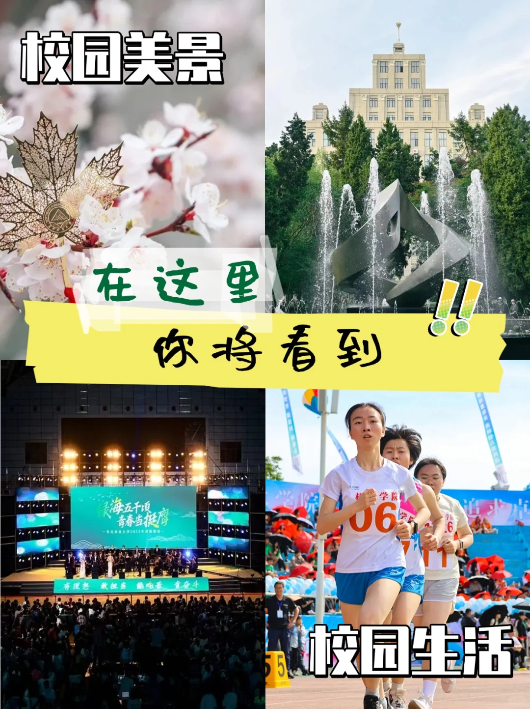 东北林业大学正式入驻小红书啦！