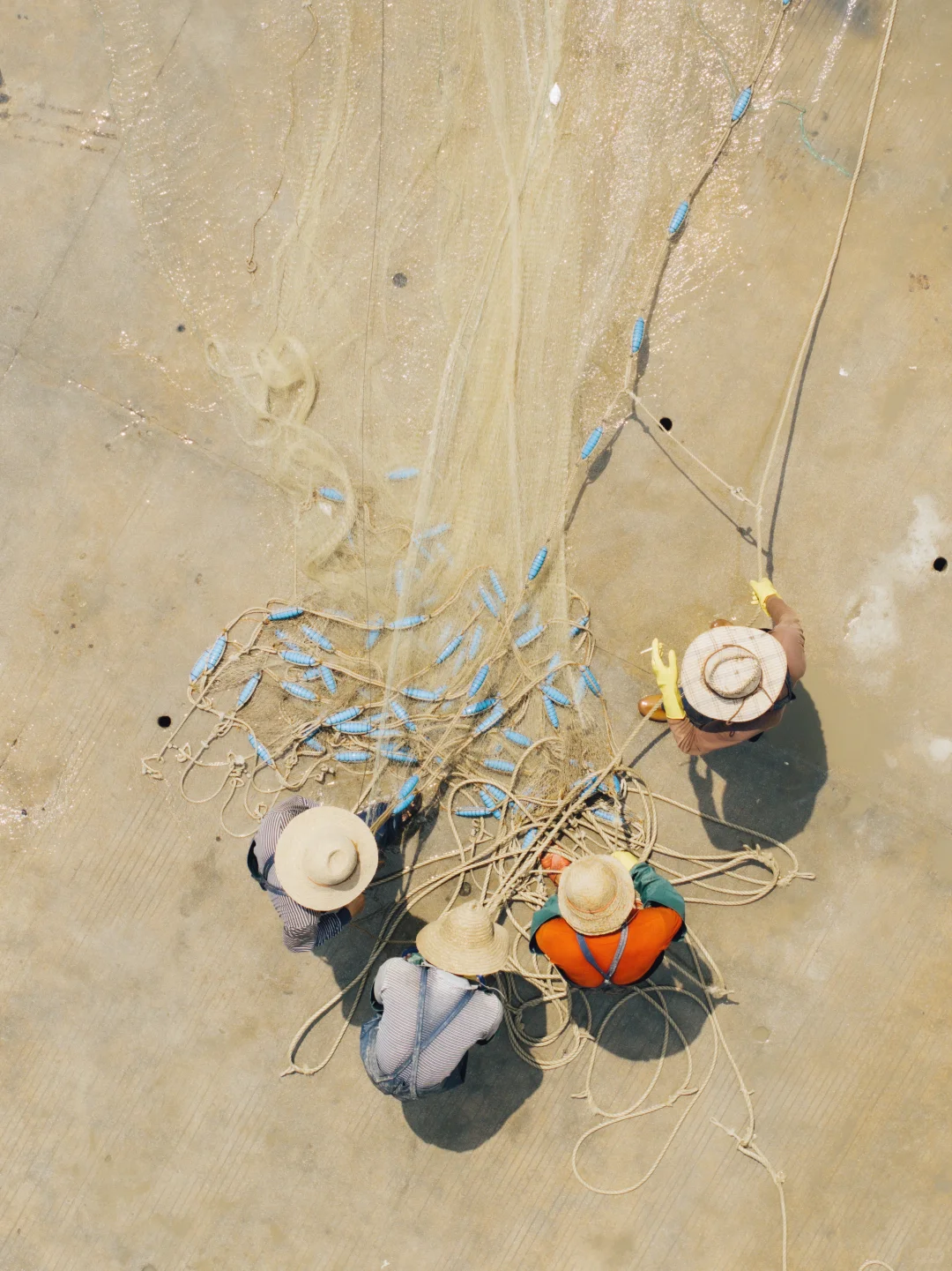 開漁尝鲜｜渔民的秩序美学