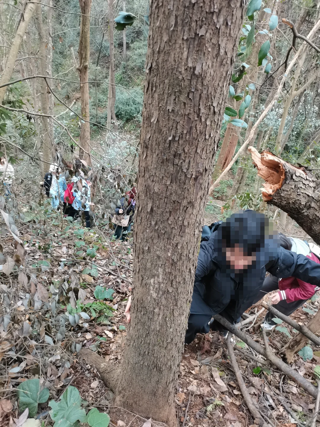 林学人是真的拿命学，别卷林业了