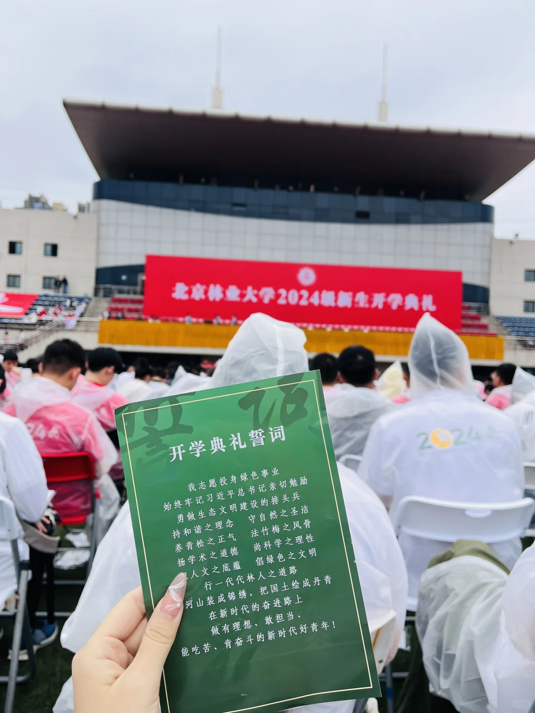 两个半月三跨上岸北林林业专硕（开学篇）