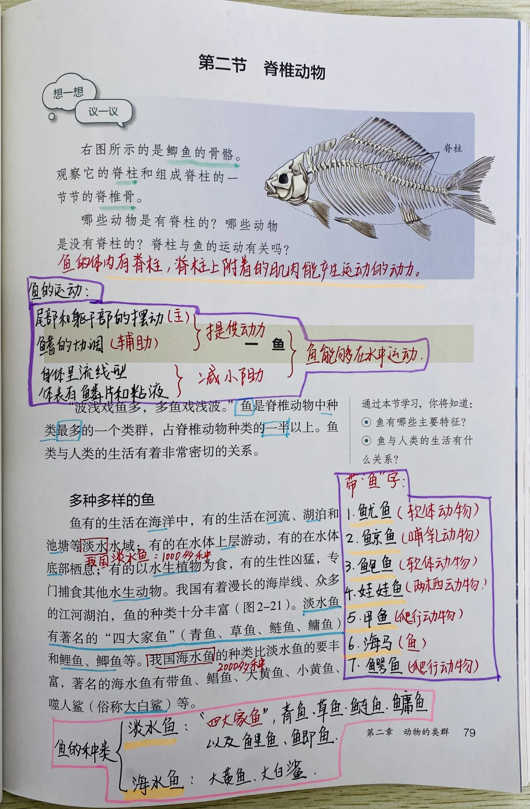 新人教版初中生物七上脊椎动物2.2.2.1鱼