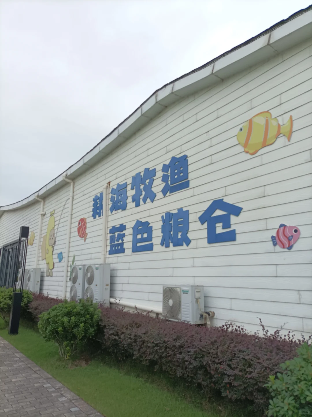 南沙美丽渔场专养蟹中茅台！万亩鱼虾蟹园区