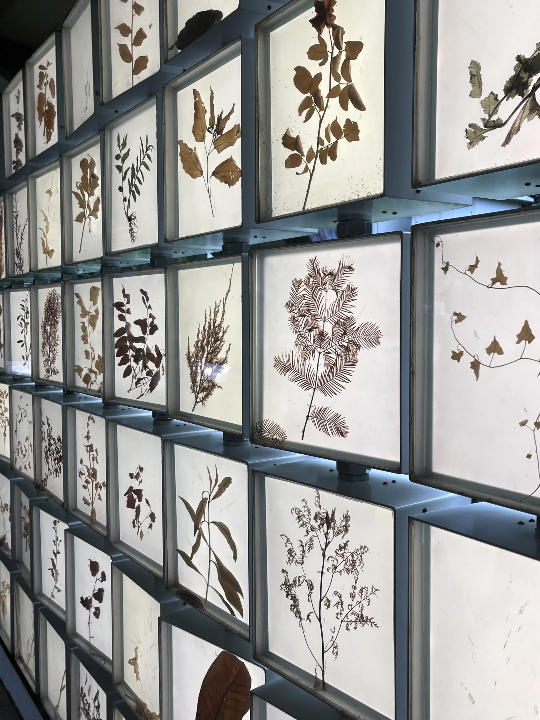 两个半月三跨上岸北林林业专硕（开学篇）