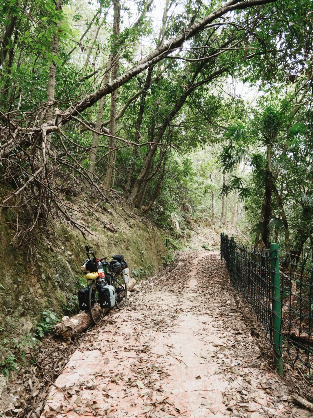 渔业村-小桐州村｜Day 8