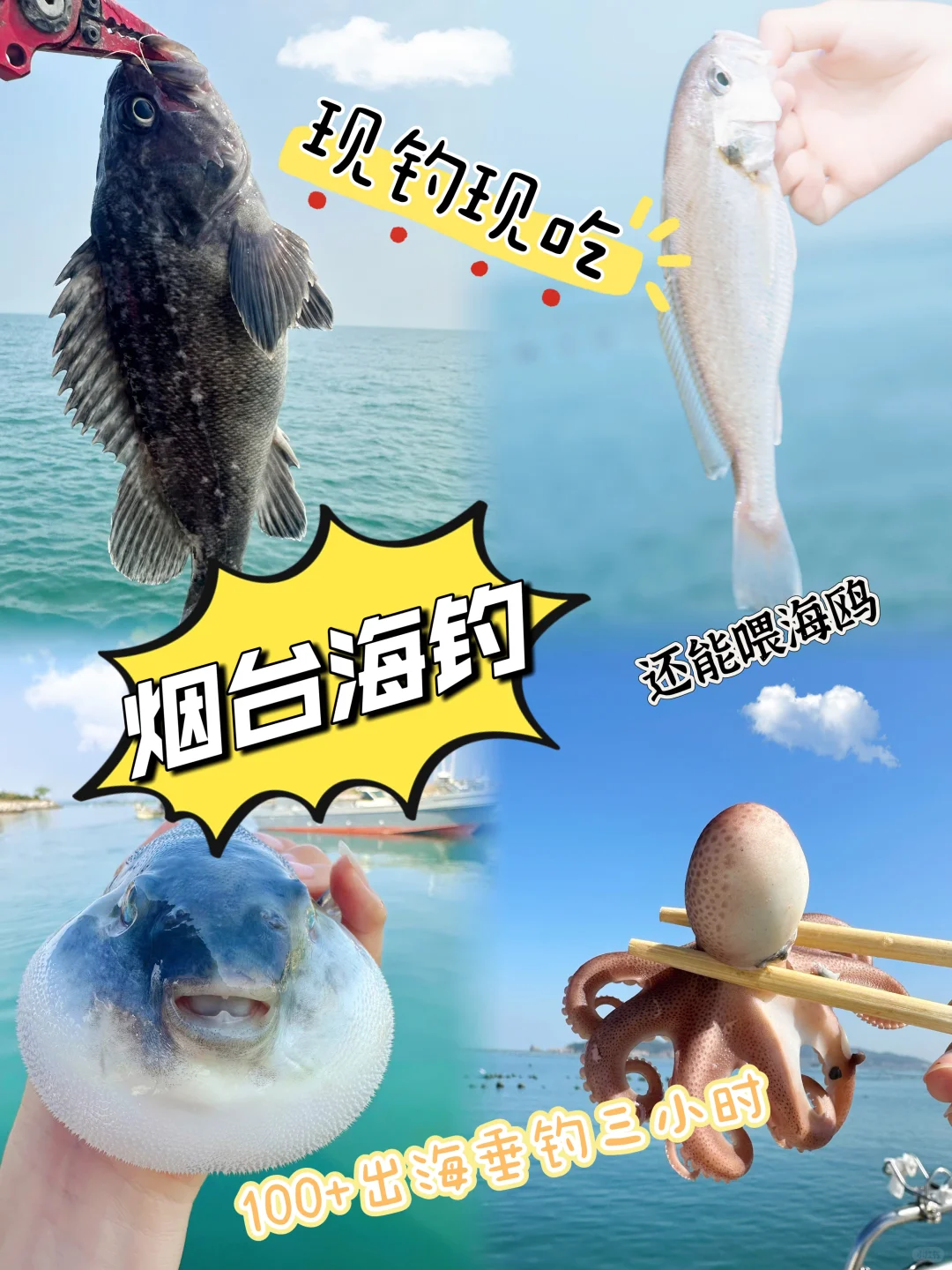 烟台海钓人均198+，能玩3️⃣小时👏👏