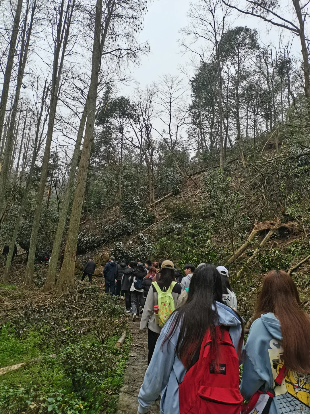 林学人是真的拿命学，别卷林业了