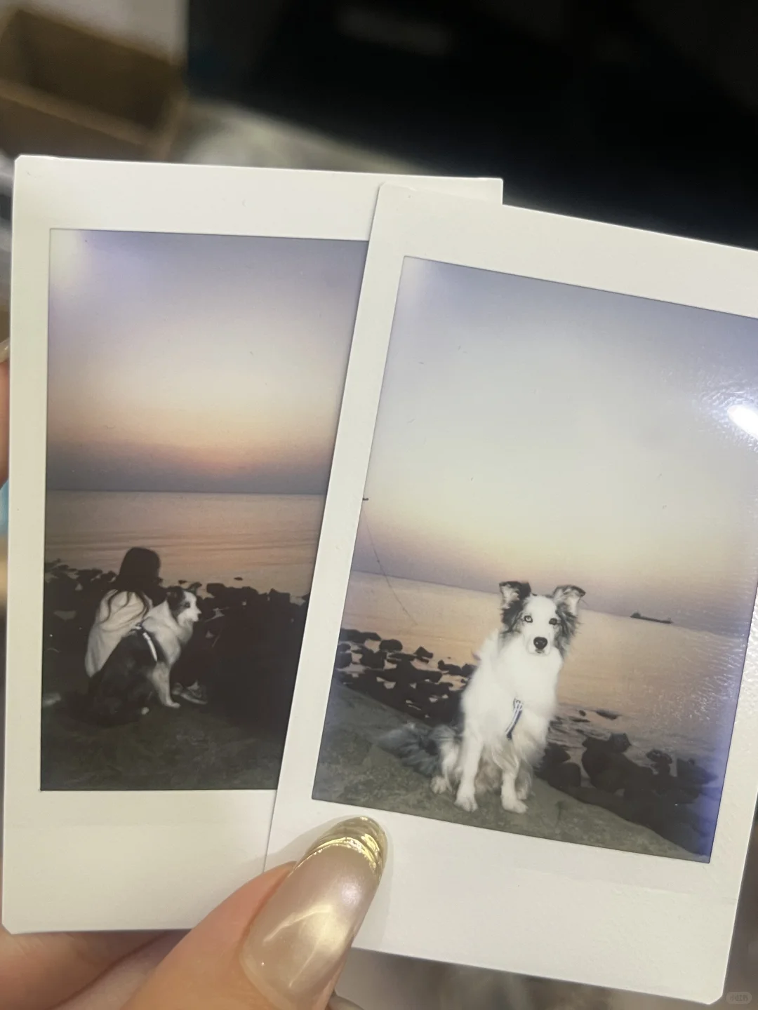 崇明超小众丁坝日落点｜向化镇渔业村