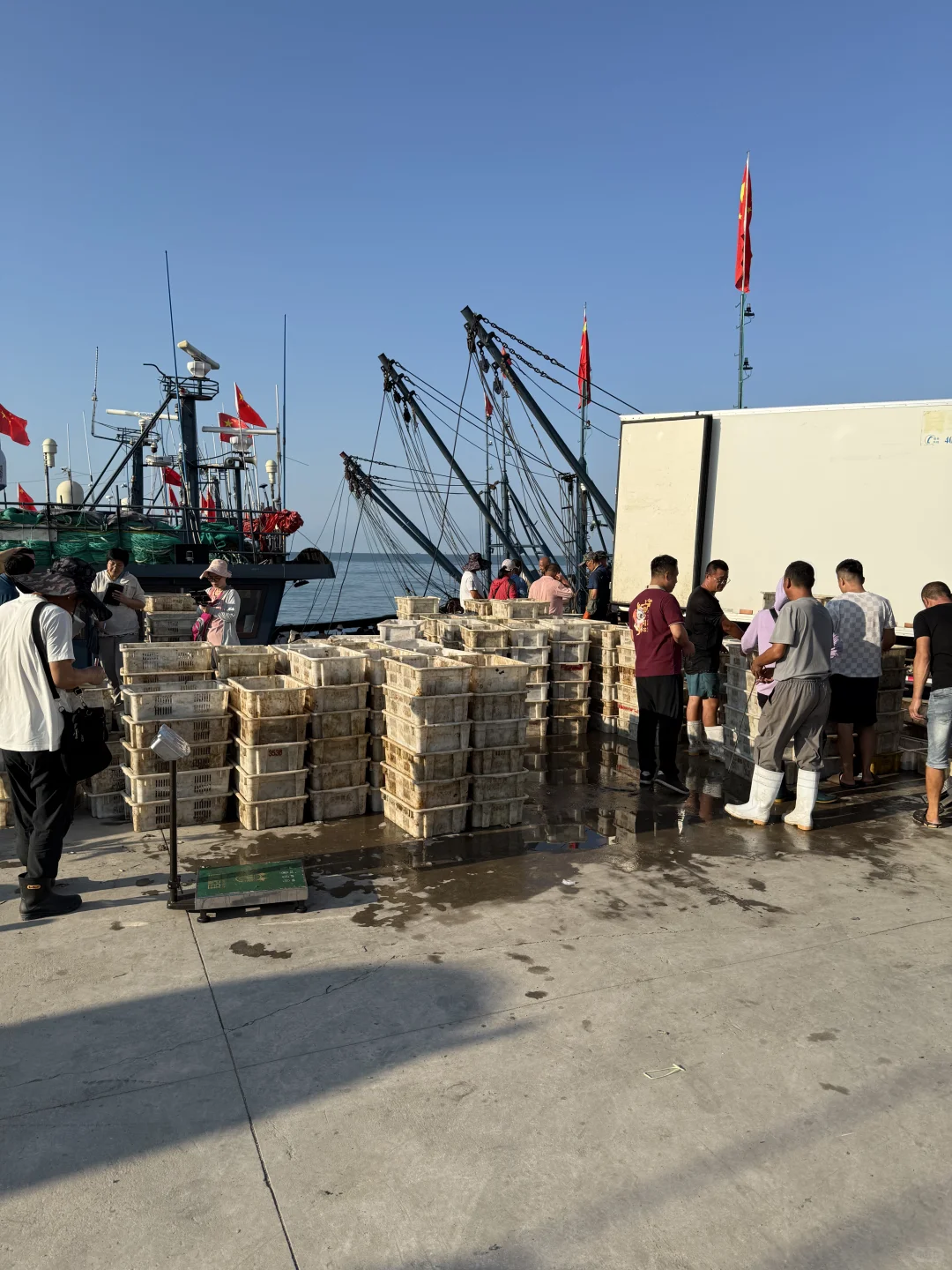 求求了❗️能不能让鲅鱼走出青岛❗️