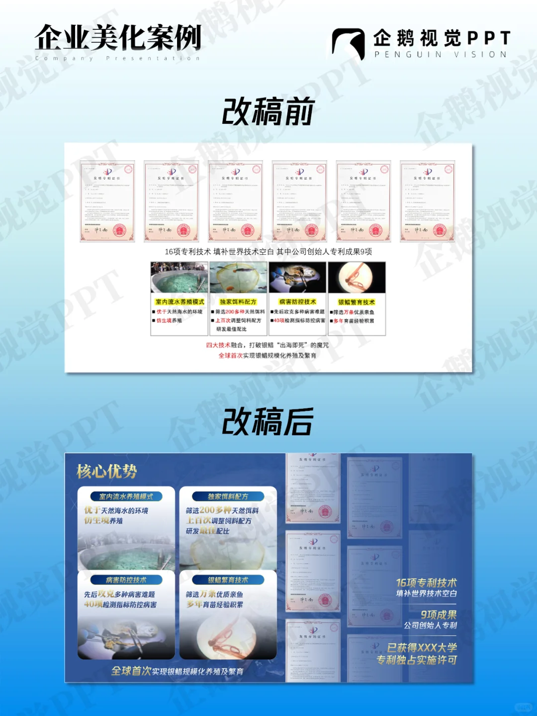 海洋鲜味品味大自然的馈赠🐳PPT案例分享