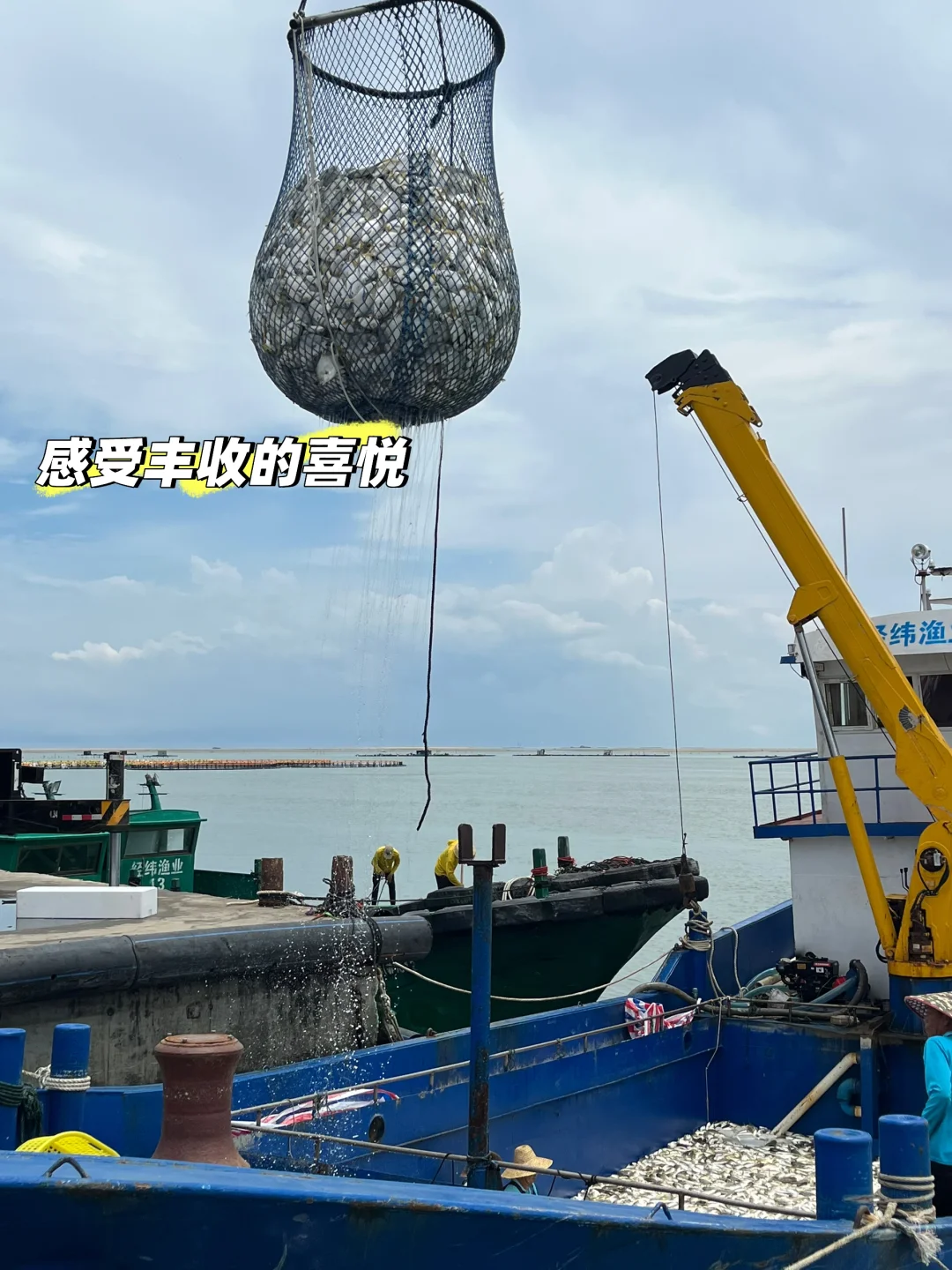 鲜掉眉毛的硇洲金鲳捕捞大揭秘㊙️