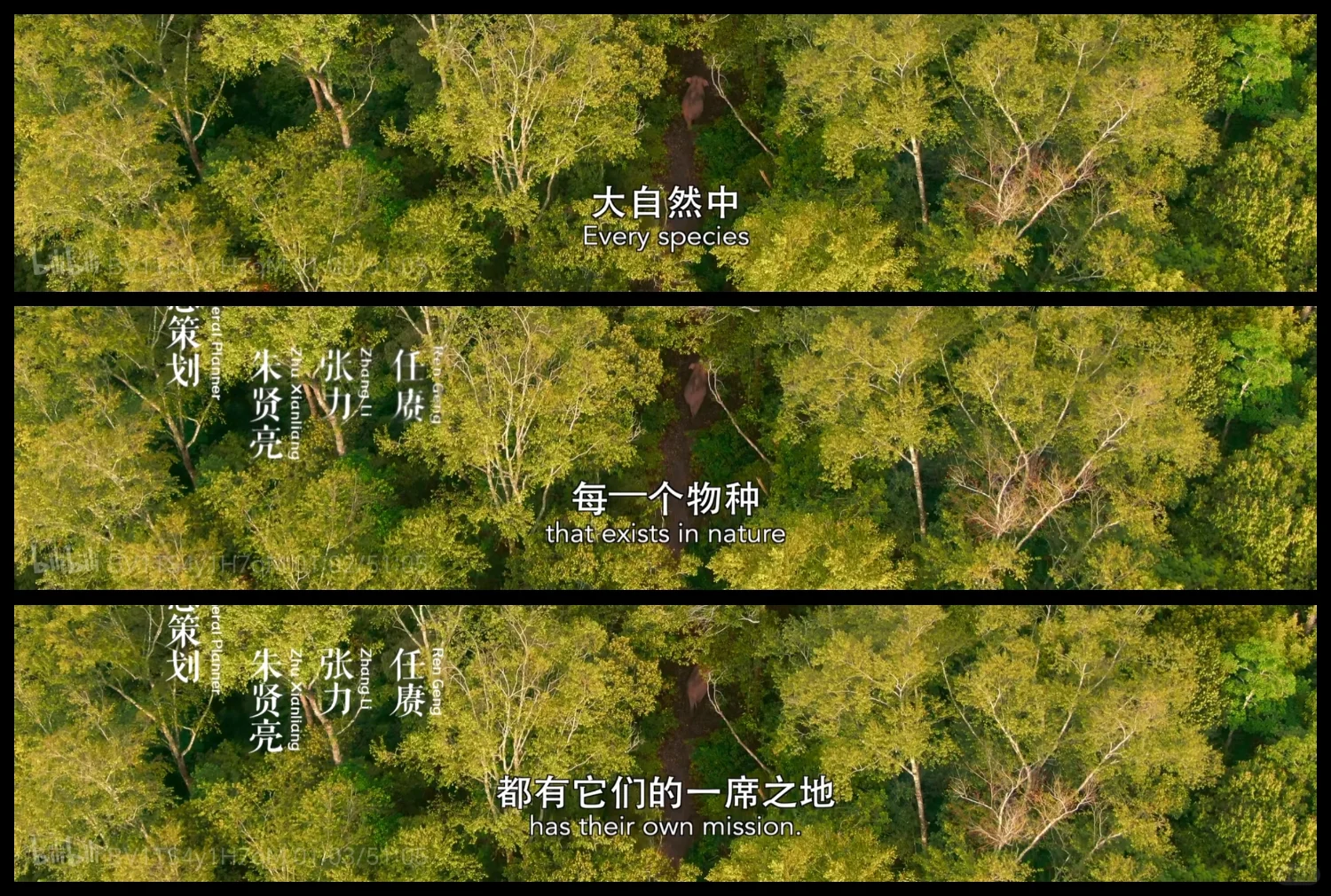 去做维持平衡的一环，就会得到神迹的护佑