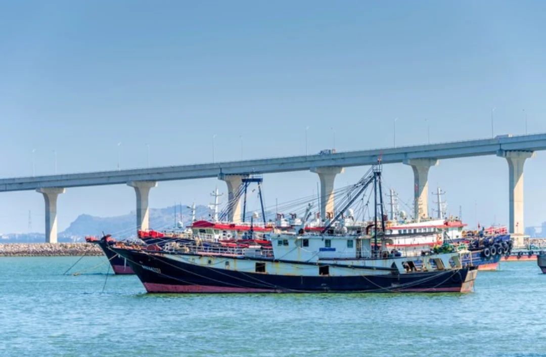 细说央企控股A股——中水渔业