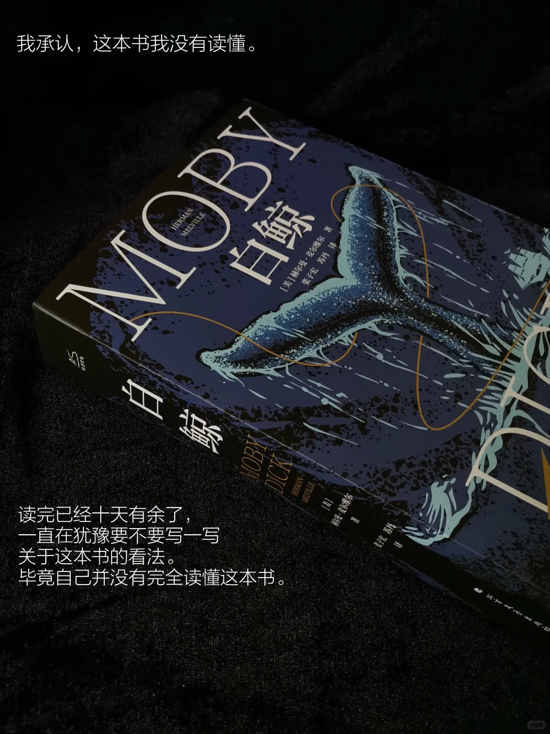 阅读日记｜初读白鲸，它在南太平洋的盛夏